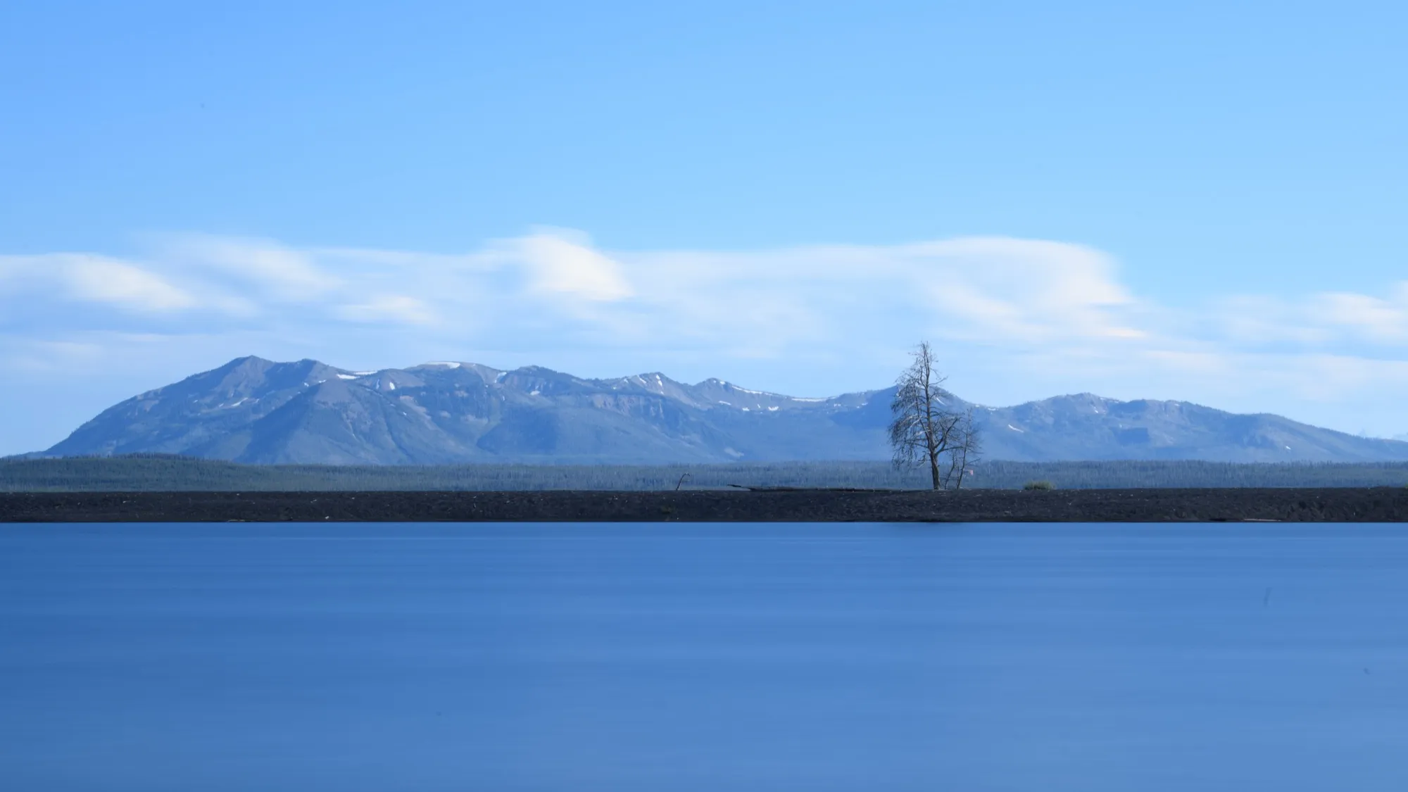 A lone bare tree on the far shore of a blue lake with mountains behind